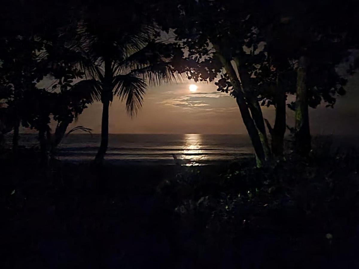 Cabinas El Muellecito Tortuguero Luaran gambar