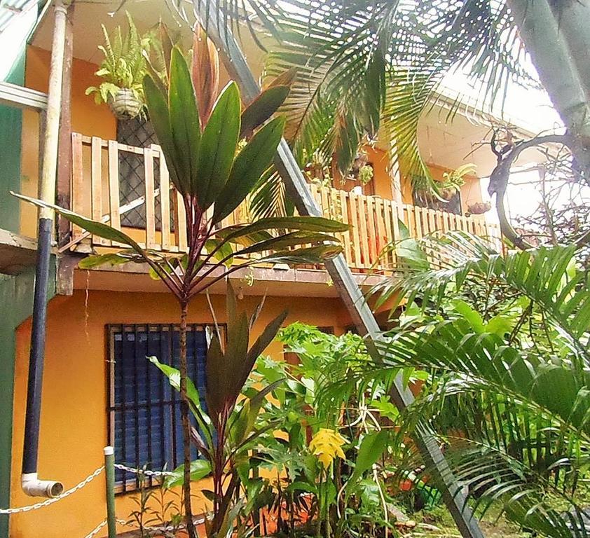 Cabinas El Muellecito Tortuguero Luaran gambar