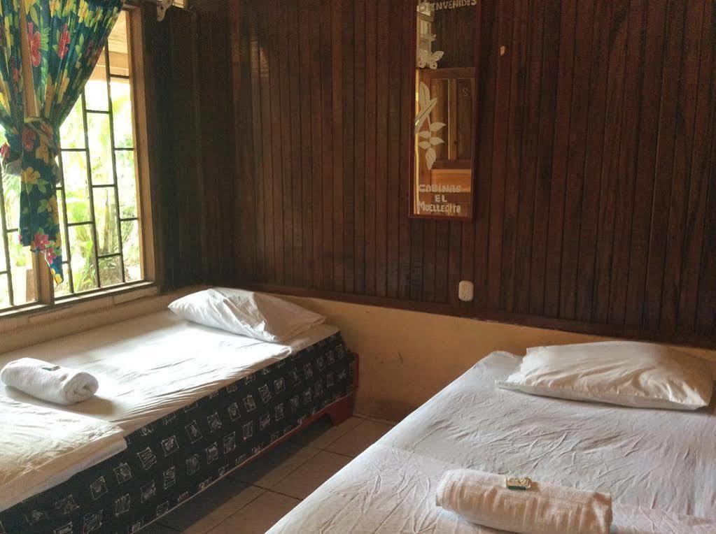 Cabinas El Muellecito Tortuguero Luaran gambar