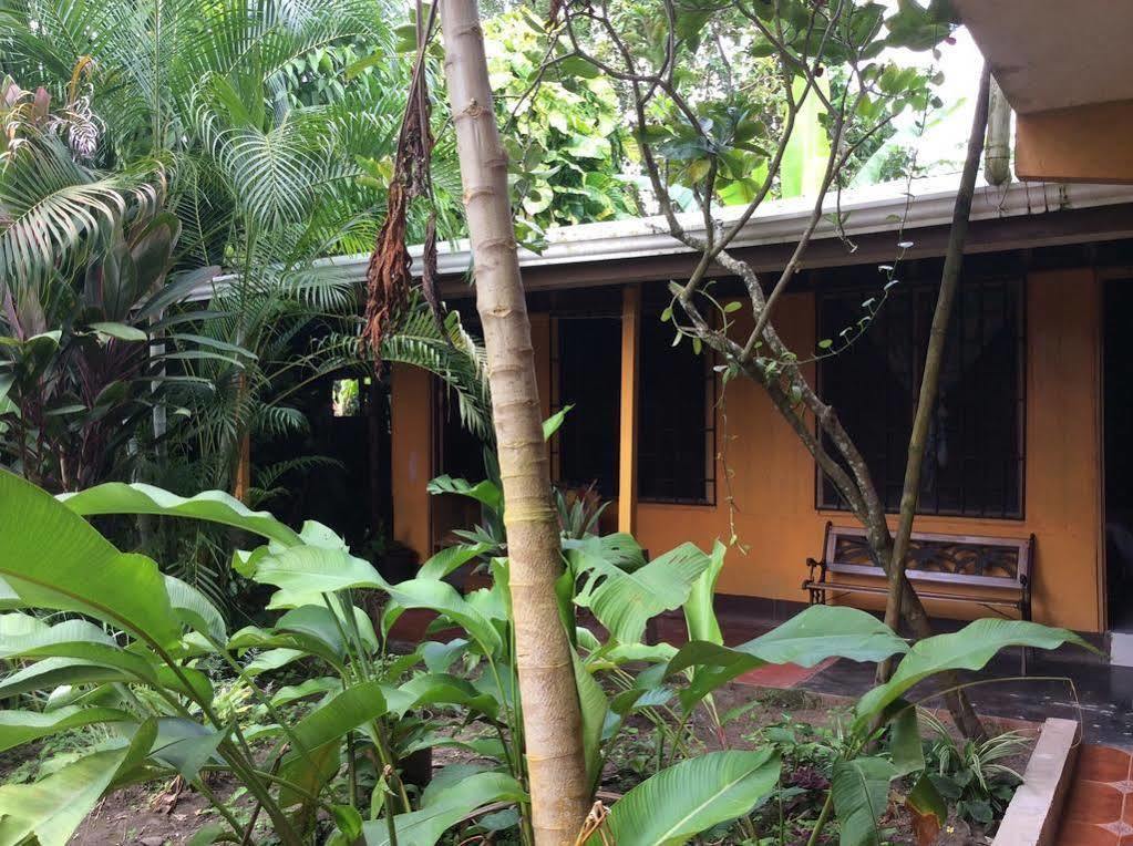 Cabinas El Muellecito Tortuguero Luaran gambar