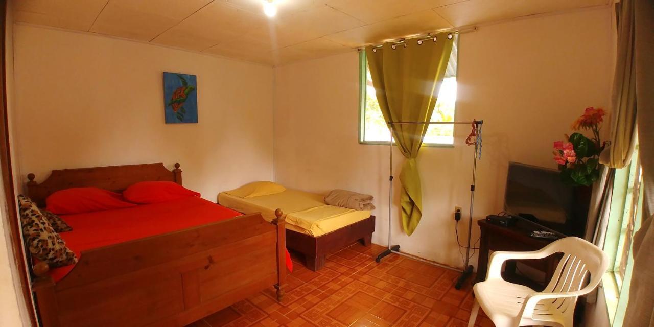 Cabinas El Muellecito Tortuguero Luaran gambar